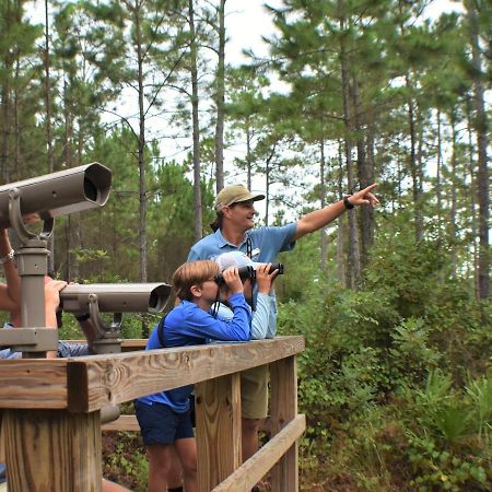 Eagle Cottages At Gulf State Park Gulf Shores Exteriér fotografie